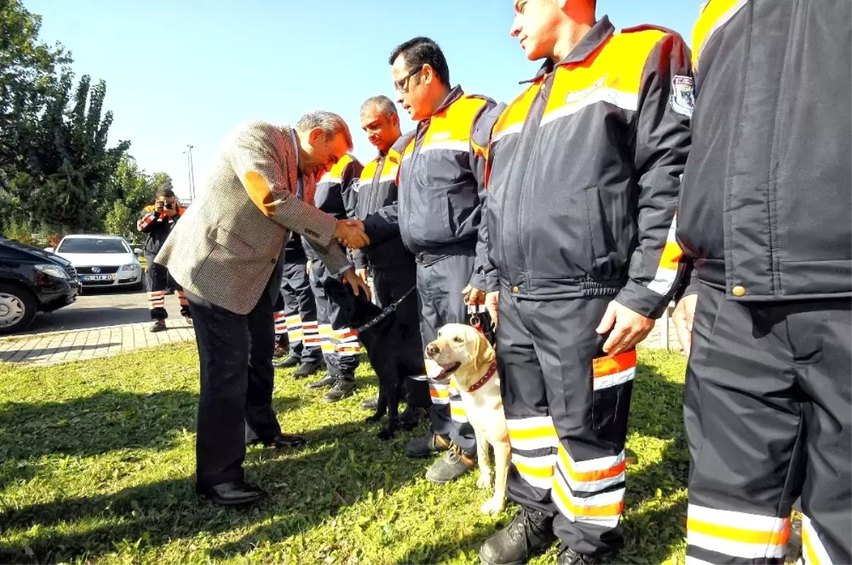 Kahraman Köpek Şans Hayatını Kaybetti