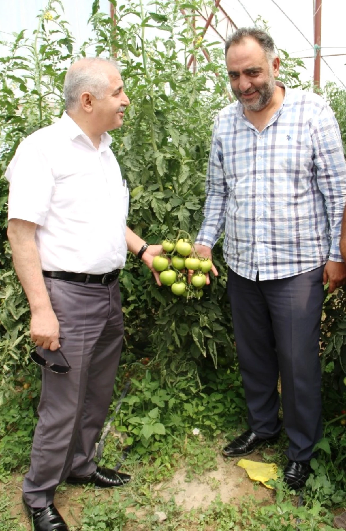 Müdür Görentaş\'tan Sebze Üreticilerine Ziyaret