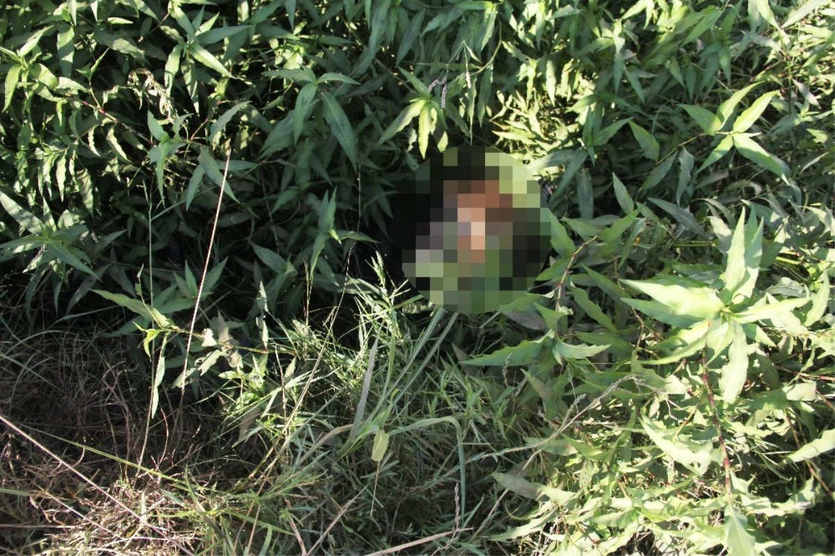 Sulama Kanalında Temizlik Yapan İşçiler Erkek Cesedi Buldu