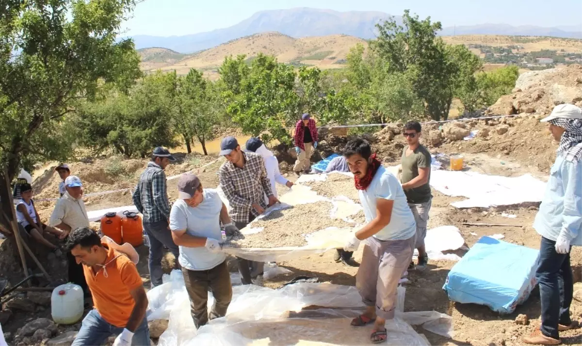 1600 Yıllık Mozaik Yerinden Kaldırıldı