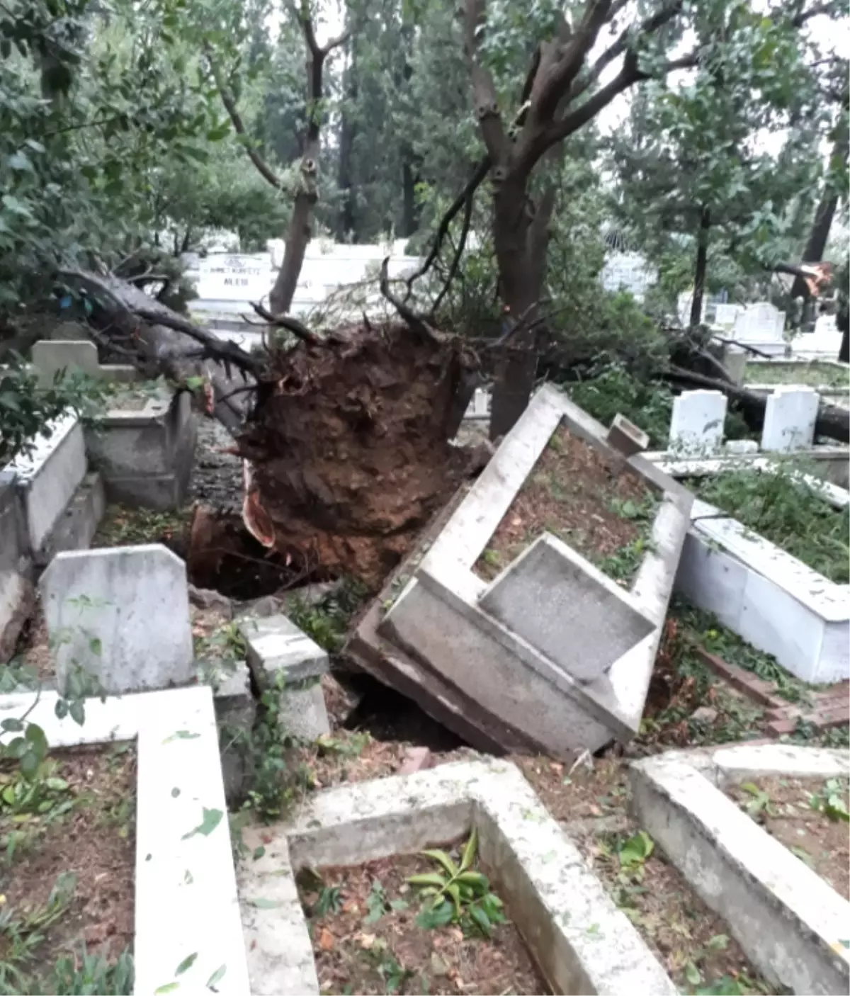 İstanbul Seli: "120 Milyon Tl " Zarar Verdi!