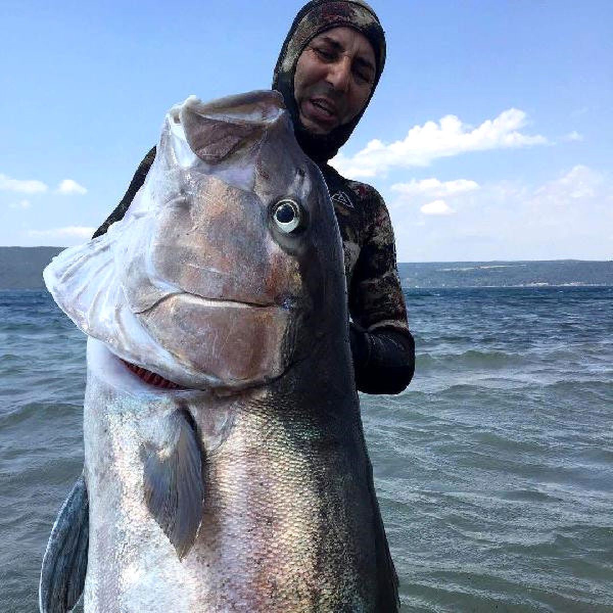 2 Metre Boyunda, 68 Kilo Ağırlığında Akya Avladı