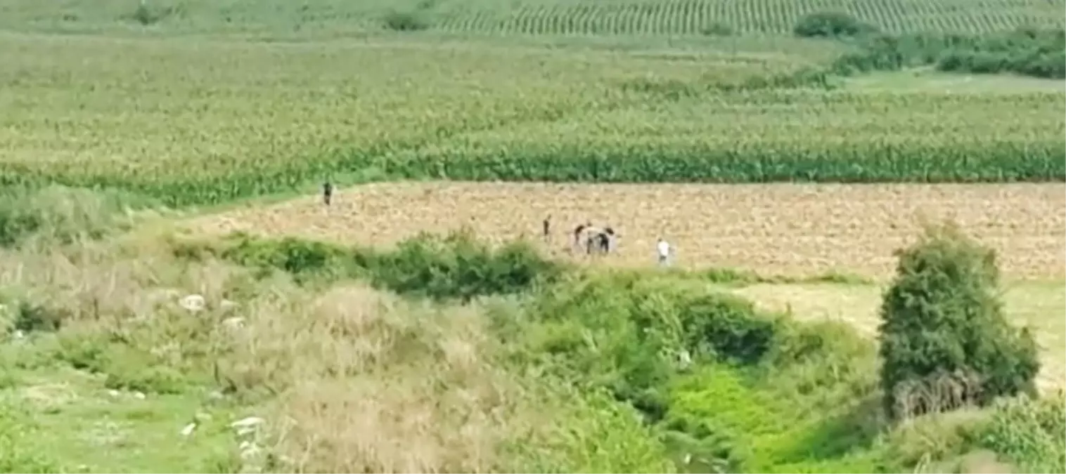 Evladını Öldüren Babanın Yakalanma Anı Kameralarda