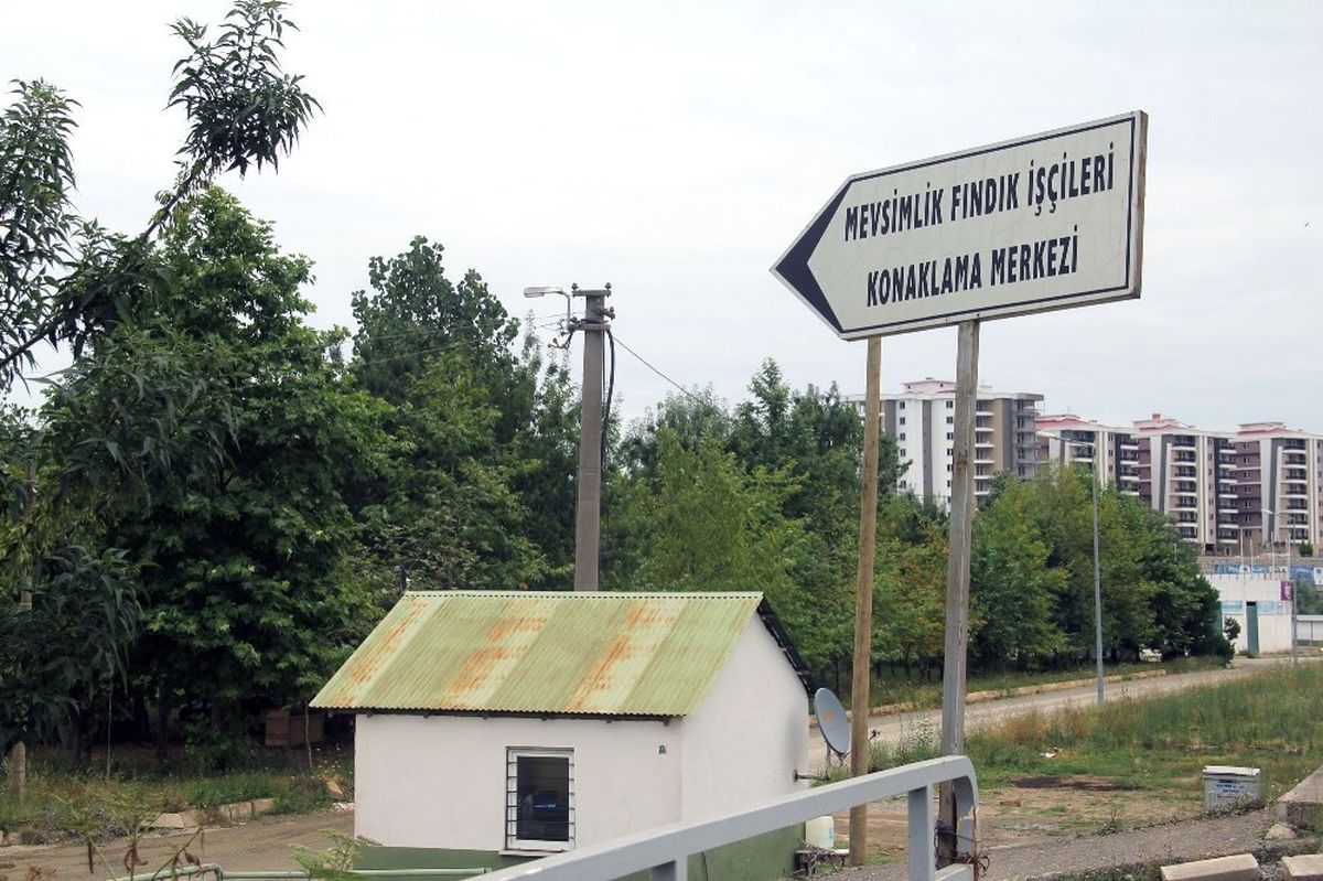 Giresun\'da Mevsimlik Fındık İşçilerine Modern Konaklama Merkezi