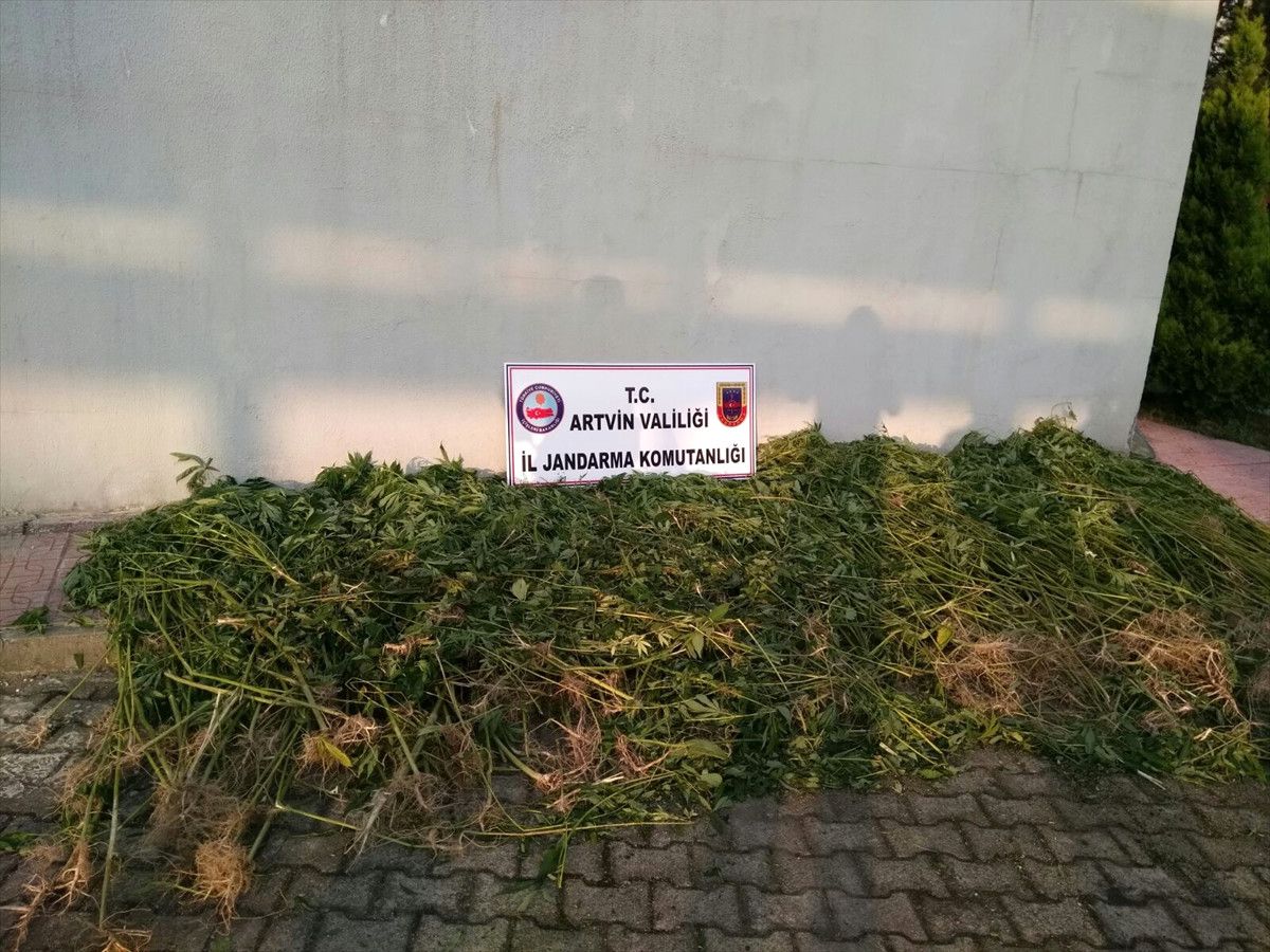 Arhavi\'de Uyuşturucu Operasyonu