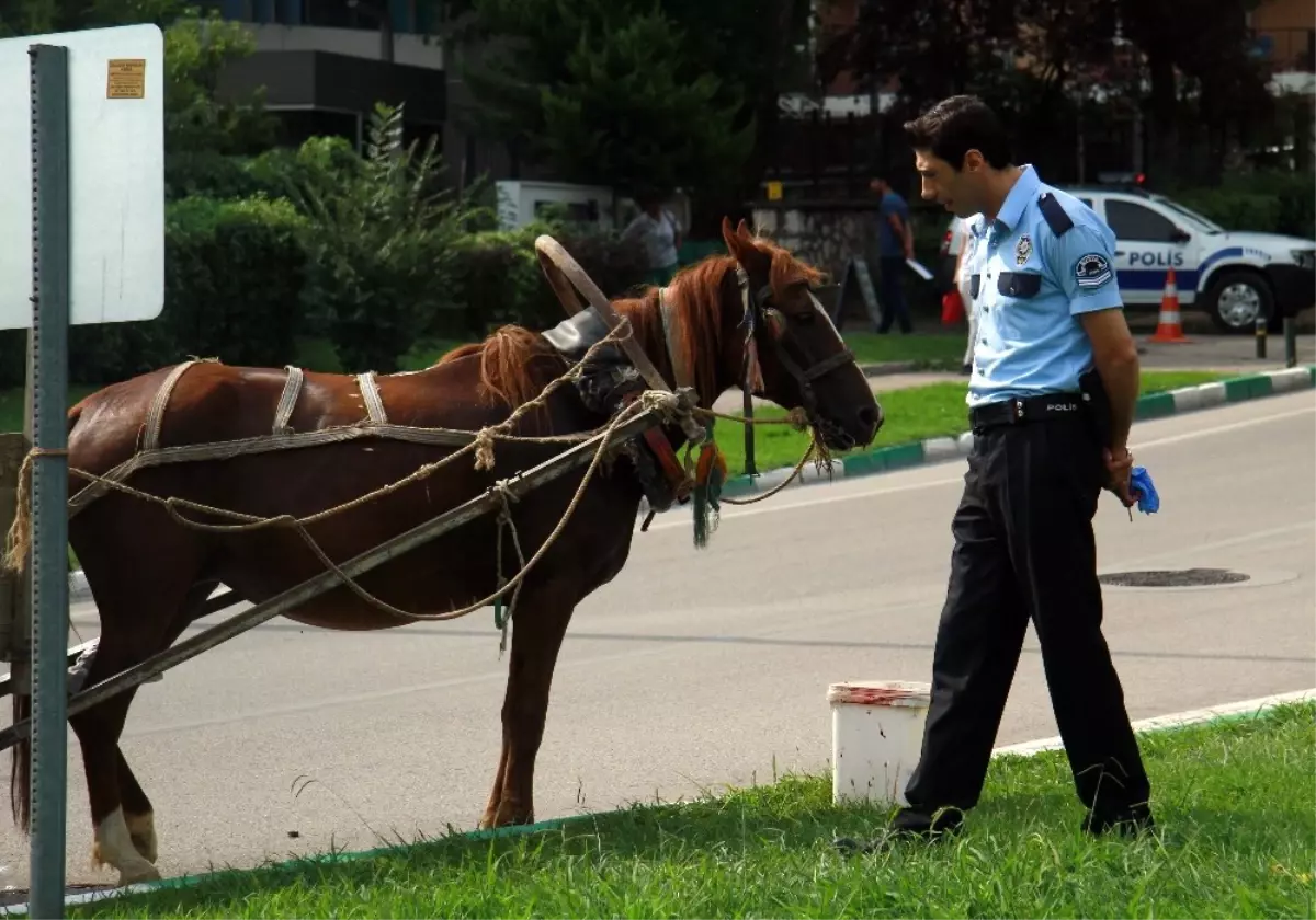 At Arabası ile Ekip Otosuna Çarptı