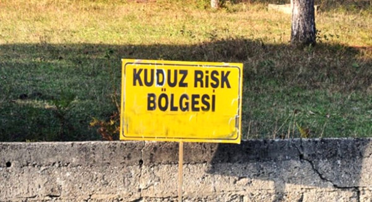 Balıkesir\'de Kuduz Karantinası