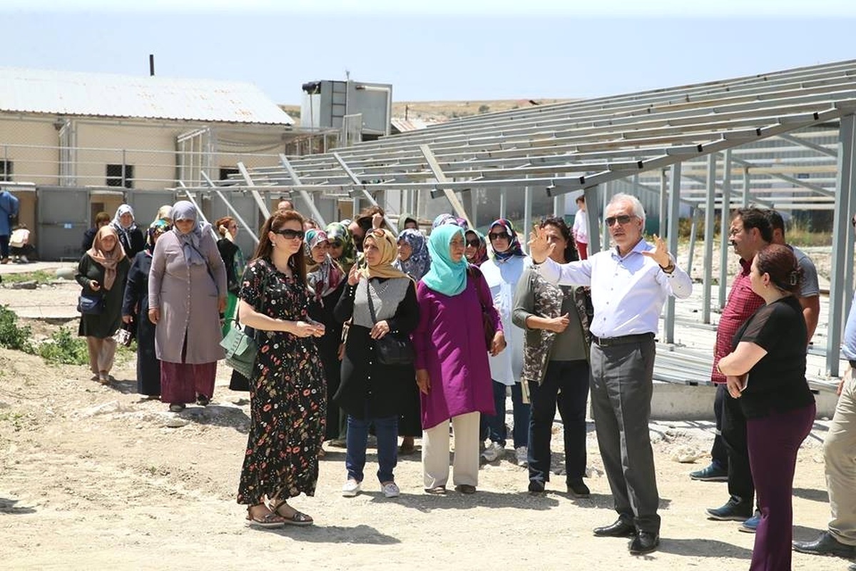 Bölgenin En Büyük Sokak Hayvanları Bakımevi ve Rehabilitasyon Merkezi Kütahya\'da