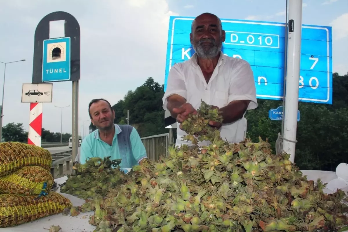 Fındık Yola İndi