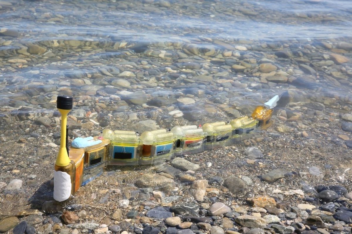 İsviçreli Araştırmacılar Su Kirliliğini Araştıracak Robot Yaptı