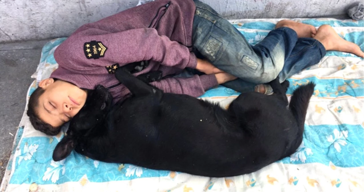 Köpeğine Sarılıp Uyuyan Suriyeli Çocuk: Arkadaşım Gibi Zannediyorum