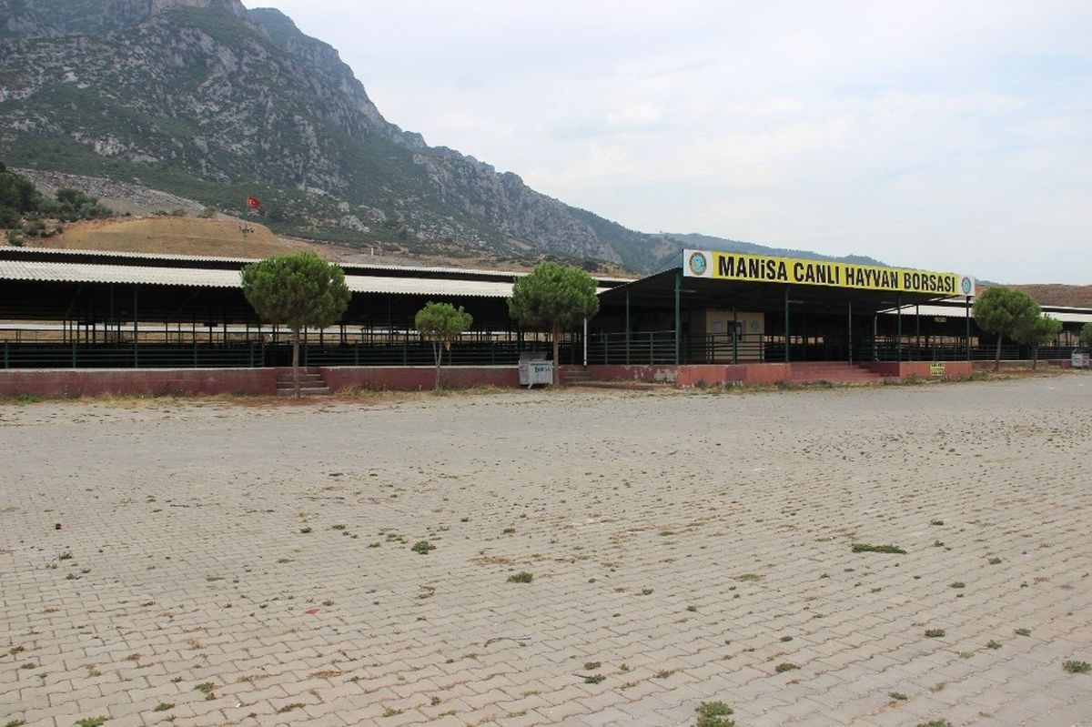 Manisa\'da Kurban Pazarı 10 Gün Sonra Açılacak