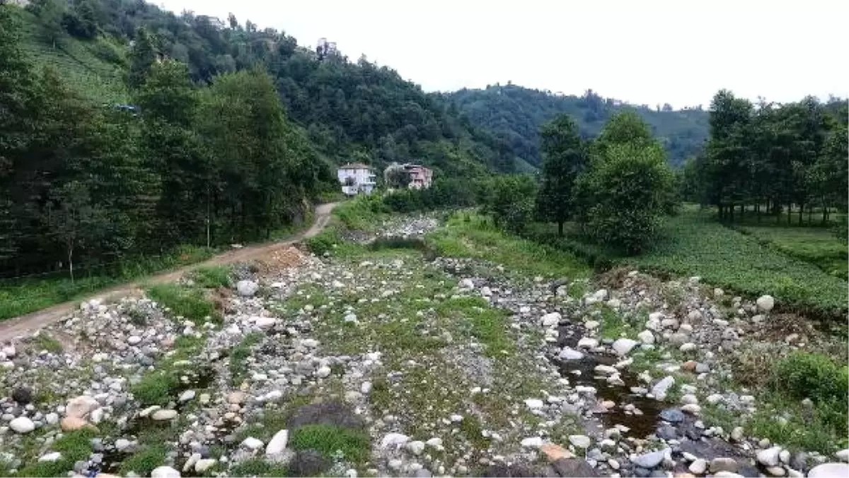 Rize\'de Dereler Bu Yıl da Suya Hasret Kaldı