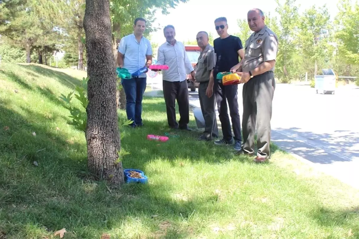 Sokak Hayvanları İçin Park ve Bahçelere Su ve Yem Bırakıldı