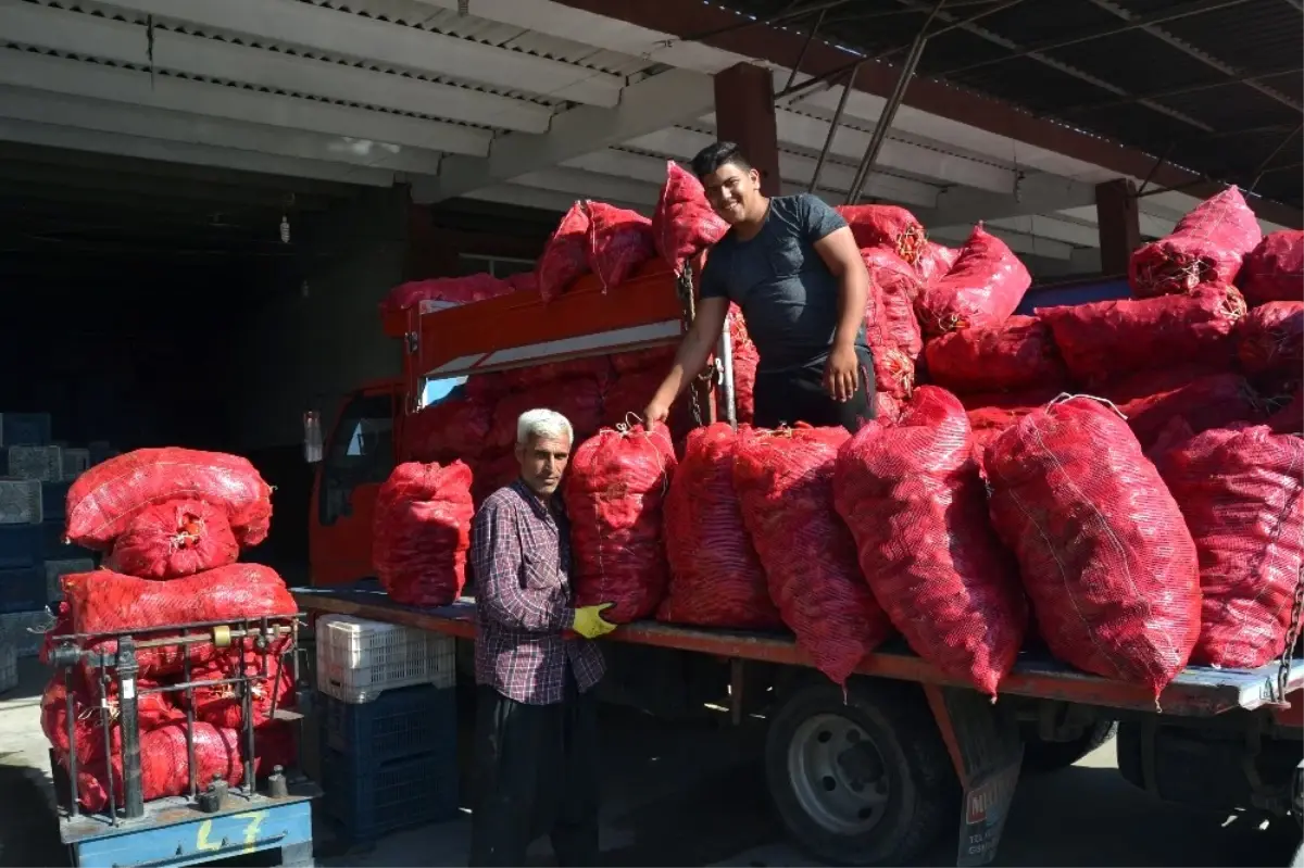 Adana\'da Sezonun İlk Salçalık Biber Satışlarına Başlandı