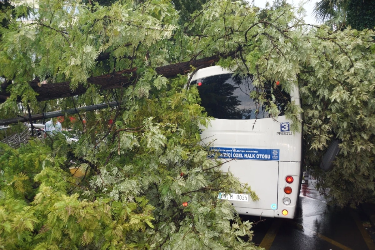 Şiddetli Rüzgara Dayanamayan Ağaç, Minibüsün Üstüne Devrildi