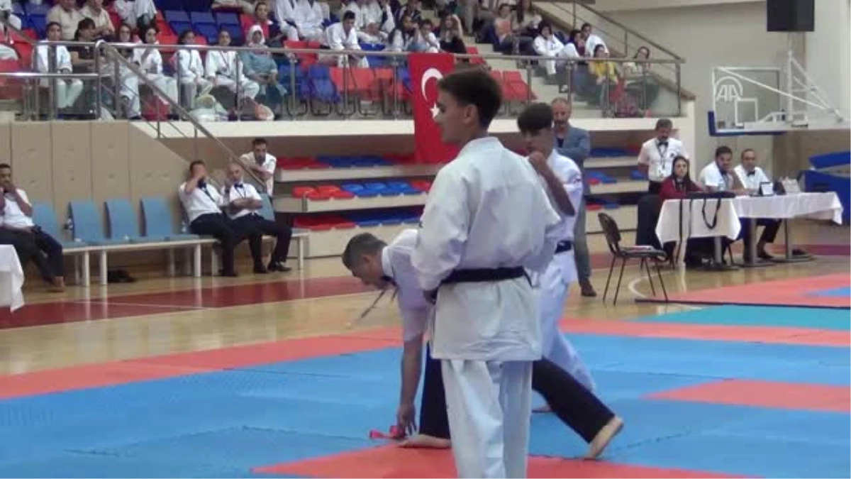 Uluslararası Altın Safran Türkiye Açık Kyokushin Şampiyonası