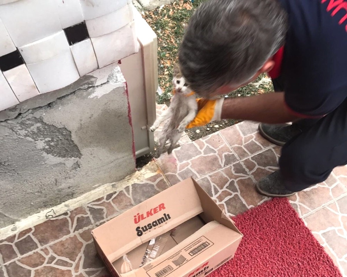 Sungurlu İtfaiyesi Yaralı Kediye Sahip Çıktı