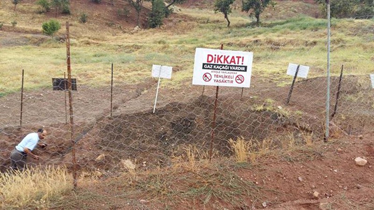 Alaşehir\'de Gaz Sızıntısı Hayvanları Telef Etti İddiası