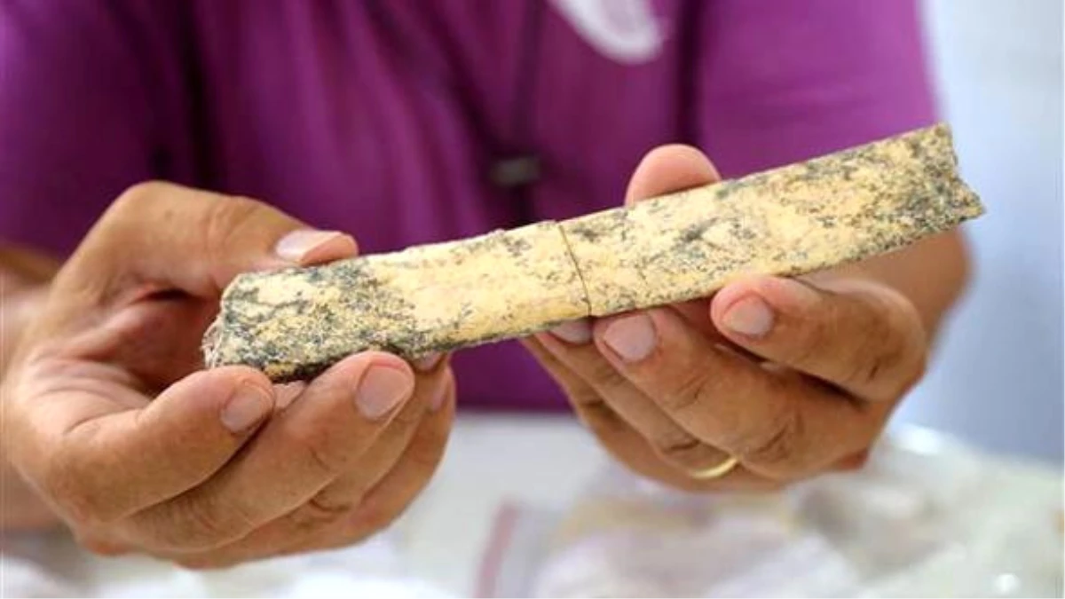 Antalya\'da 350 Bin Yıllık Anadolu\'da Görülmeyen Kemik Parçaları Bulundu