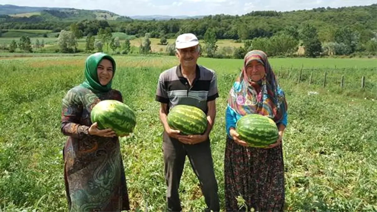 Büyükşehir\'den Çiftçiye Tohum Desteği