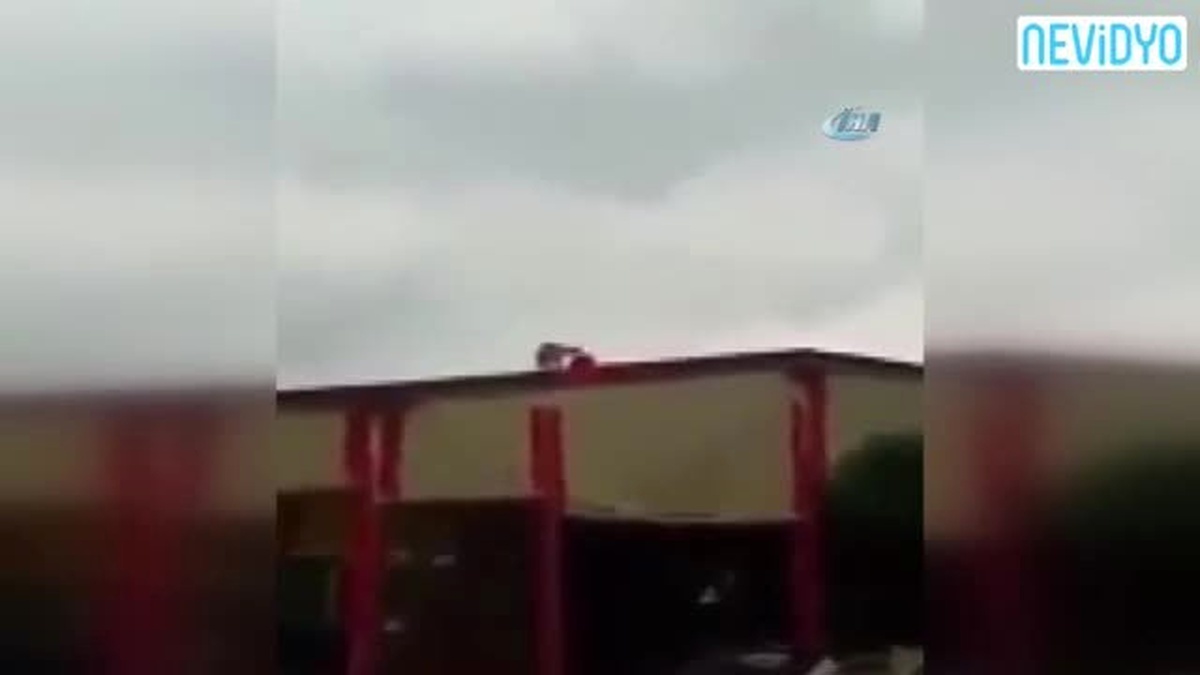 Çatıya Çıkan Kedi Rüzgarda Toplanan Türk Bayrağını Böyle Açtı