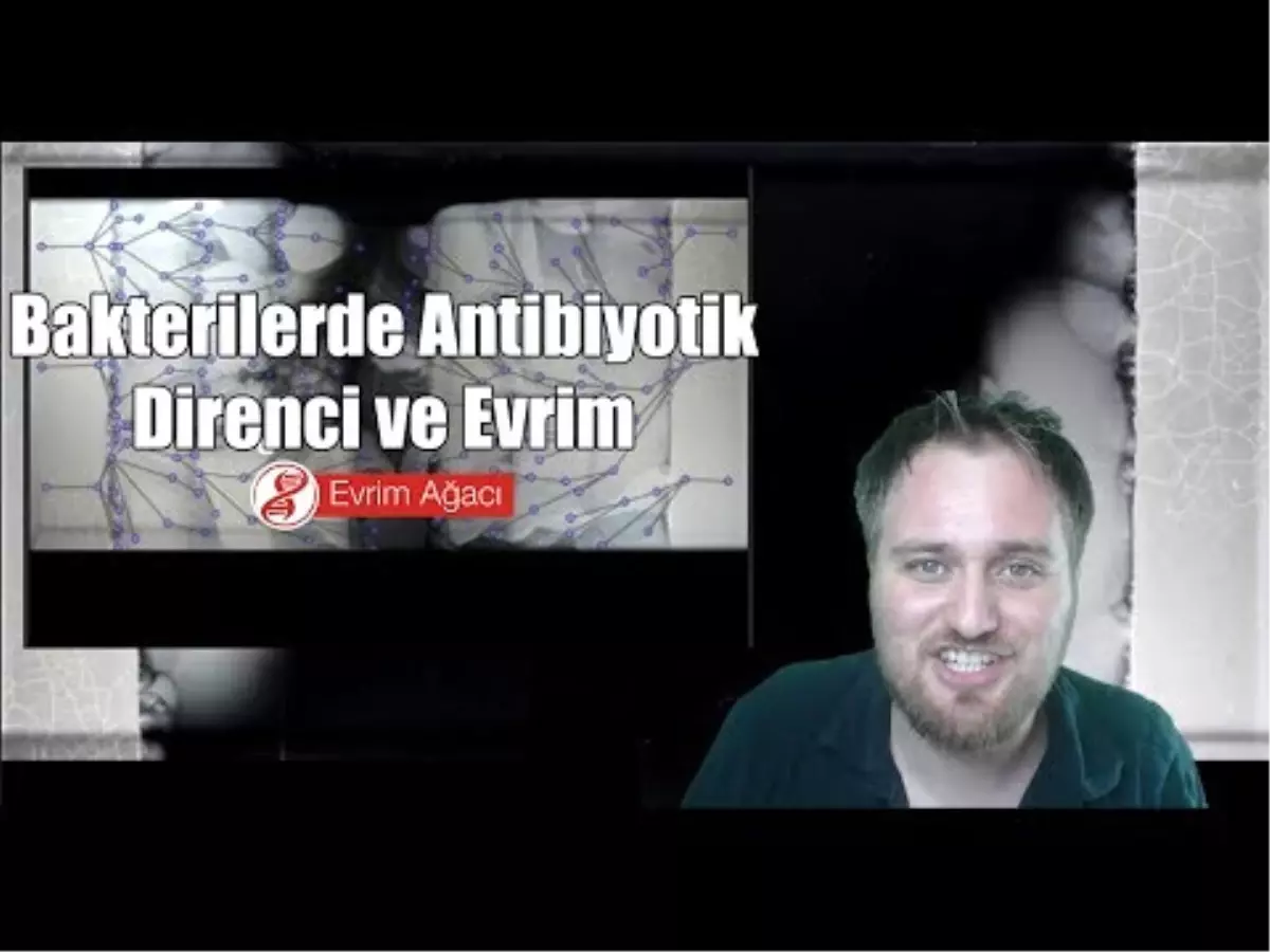 Evrimi Laboratuvarda Gözlemek: Bakterilerde Antibiyotik Direnci Deneyi