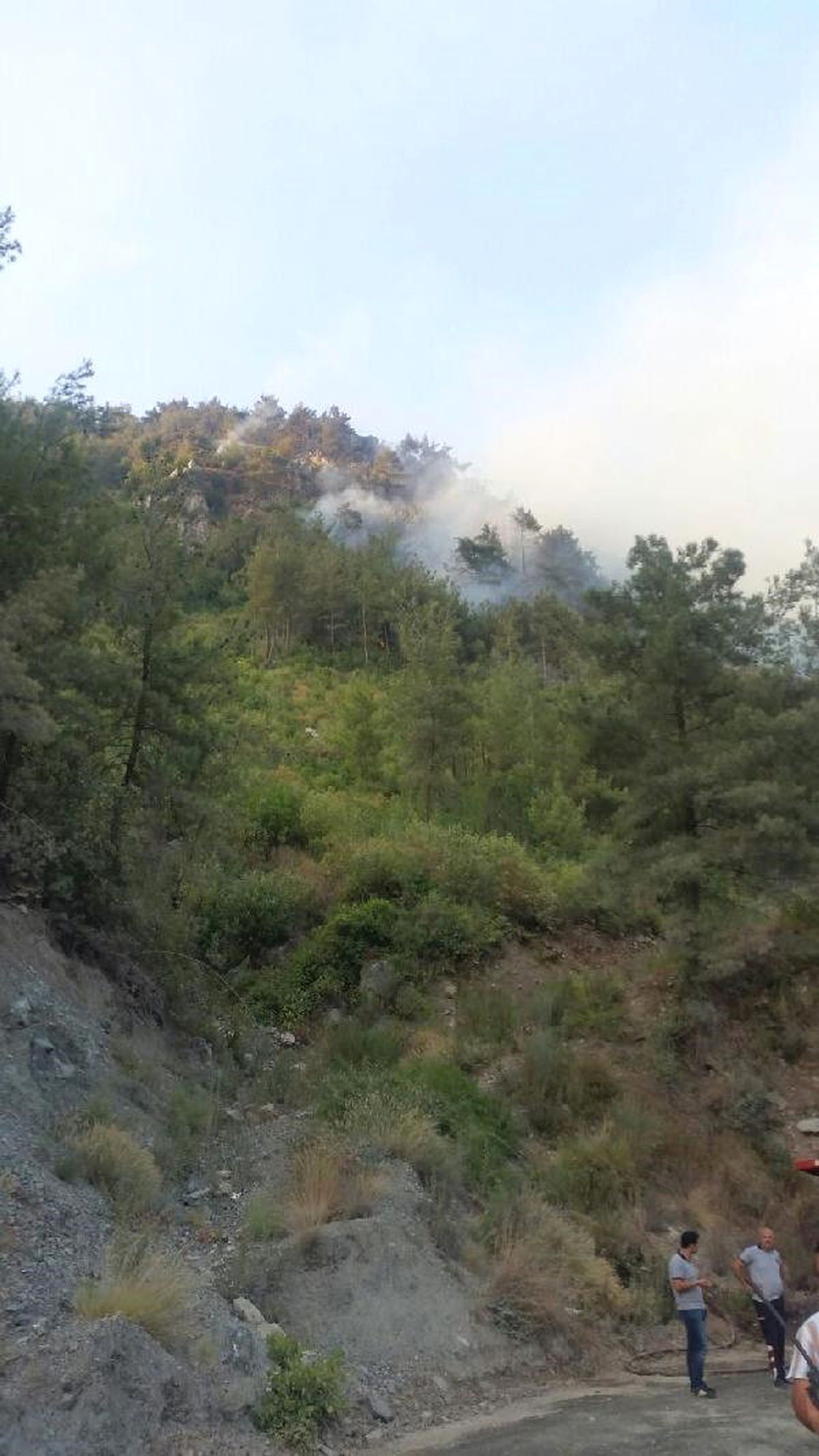 Hatay\'da 5 Hektar Orman Yandı