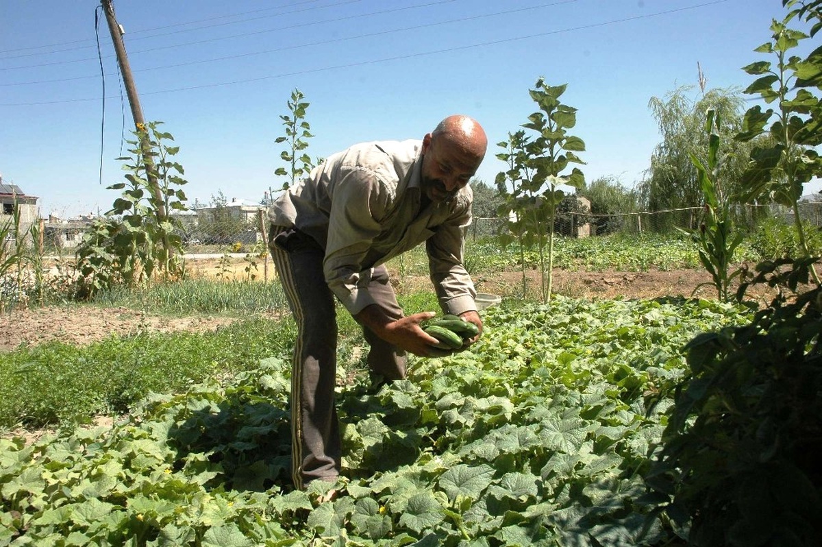 İhbar Ettiği Uyuşturucu Bağımlısı Oğluna Verilen Cezayla Şok Oldu