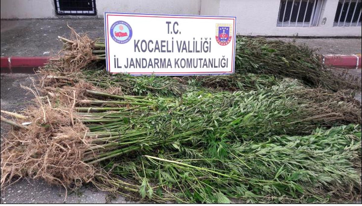 Kocaeli\'nde 41 Kilogram Eroin Ele Geçirildi
