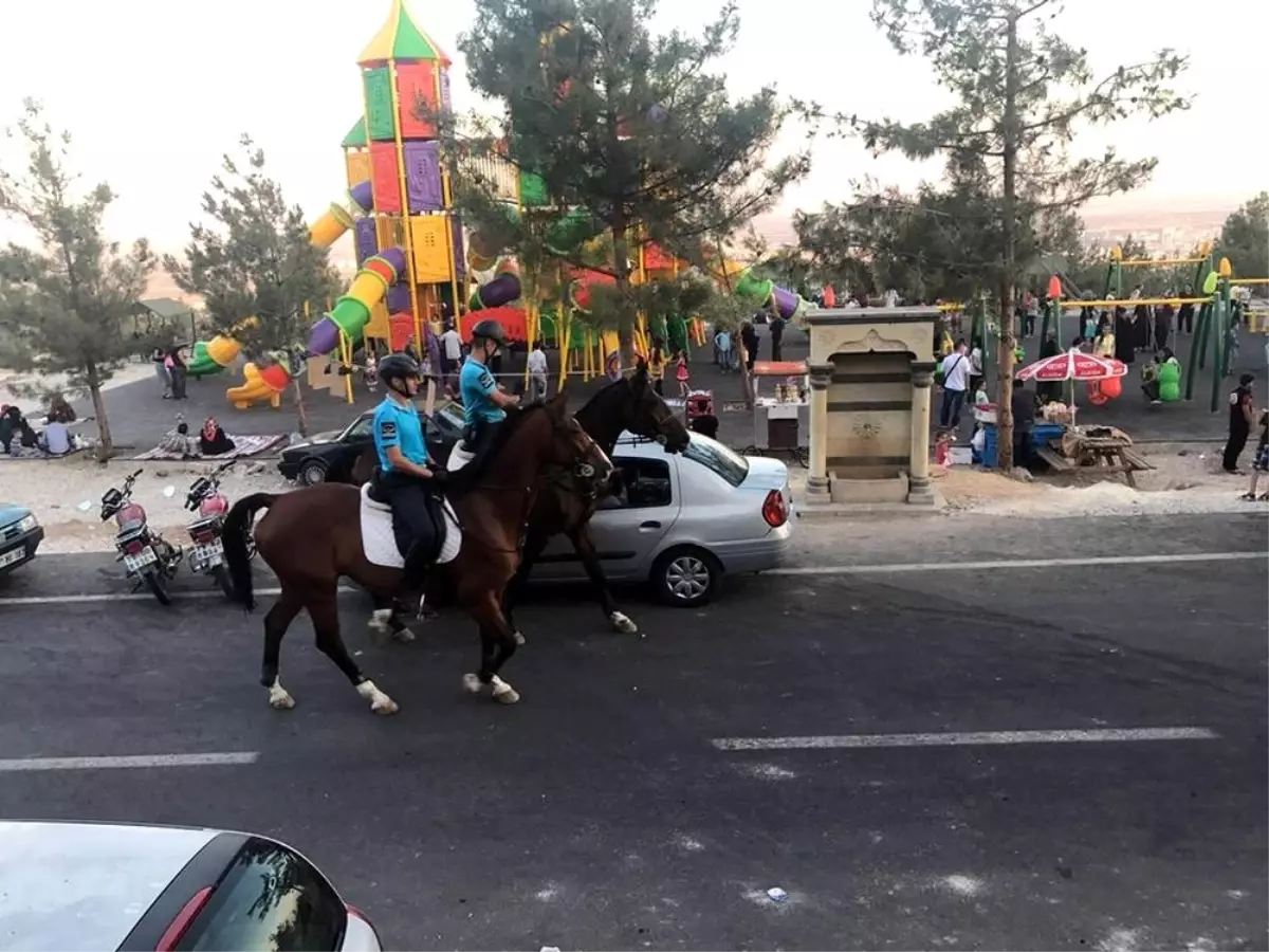 Mesire Alanında Atlı Jandarma Timi Güvenliği Sağlayacak