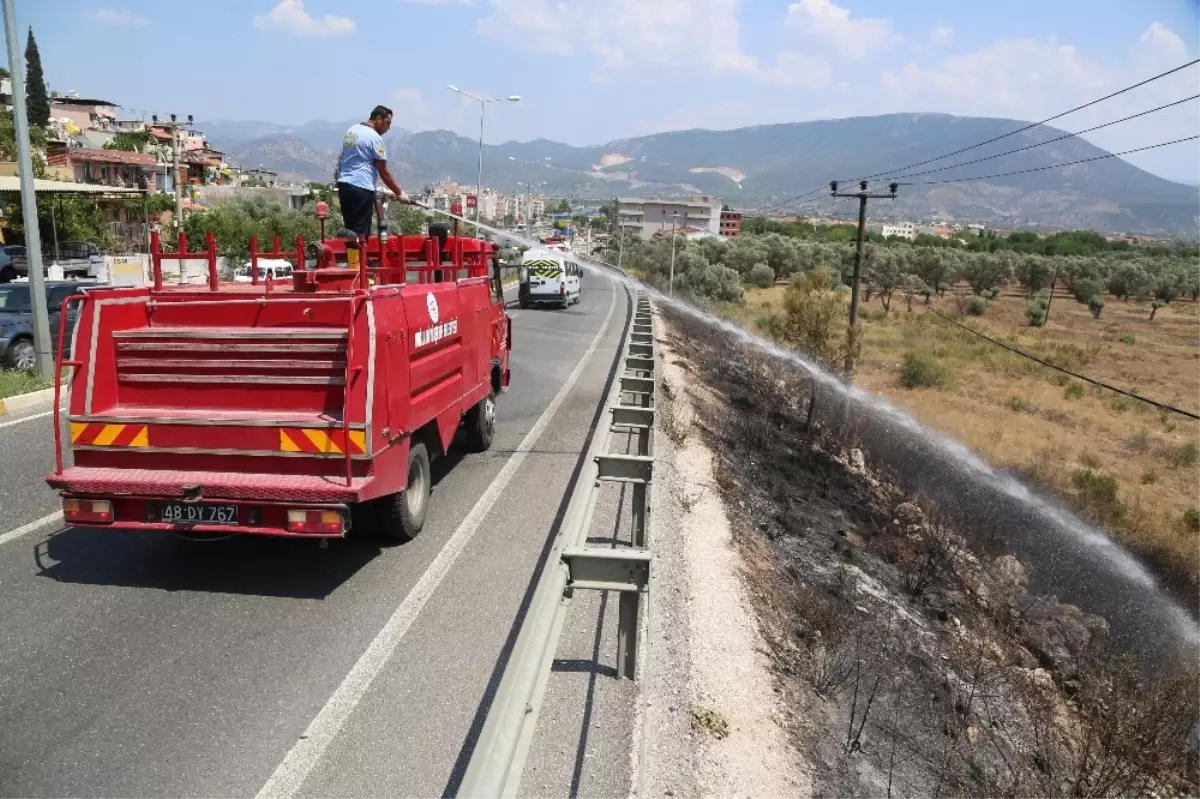 Milas\'ta Yangın Elektrik Tellerine Zarar Verdi