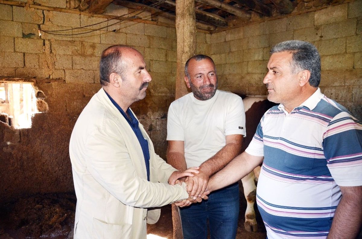 Tonluk Kurbanlıklar Satışa Çıktı