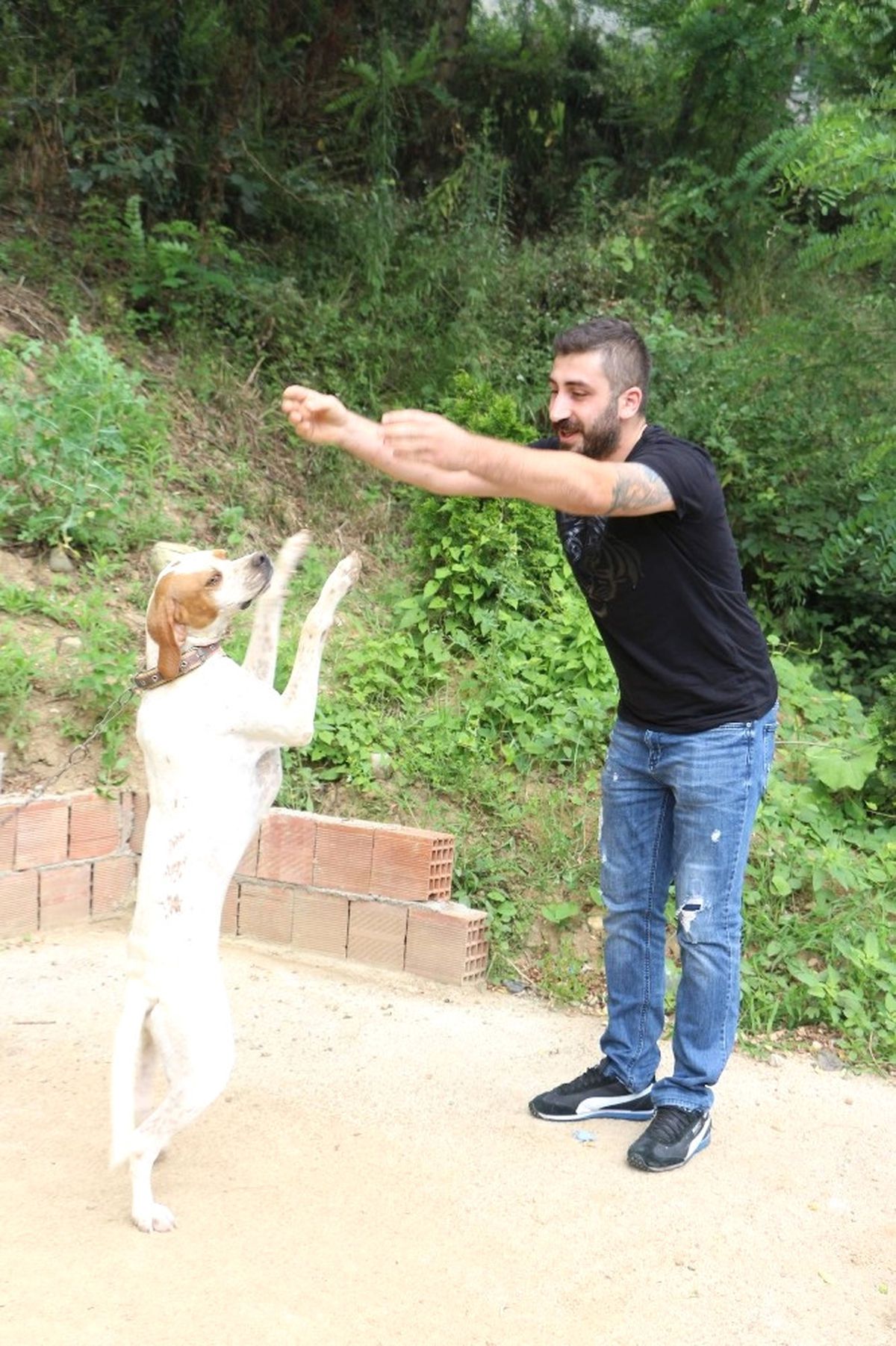 Trabzon\'da Sahibiyle Müzik Eşliğinde Kolbastı Oynayan Köpek Şaşırtıyor