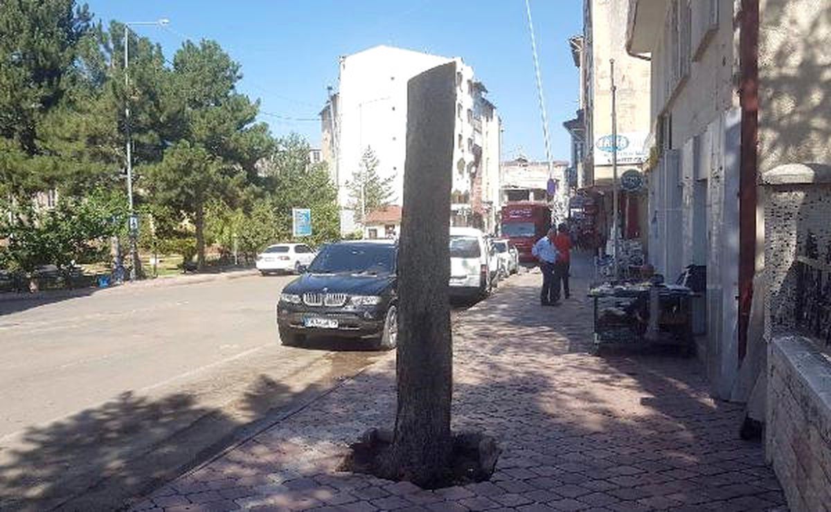 Böyle Budama Görülmedi
