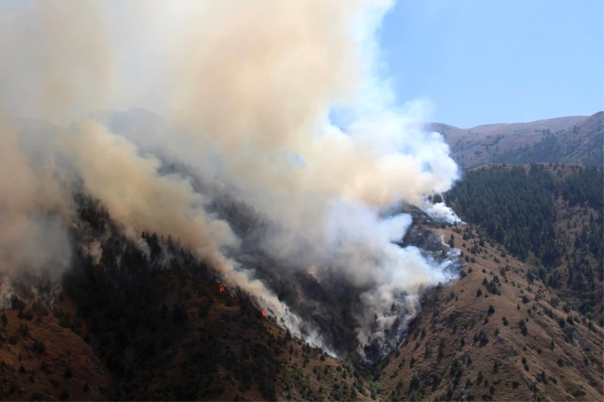Erzurum\'da Orman Yangını: 20 Hektar Alan Kül Oldu