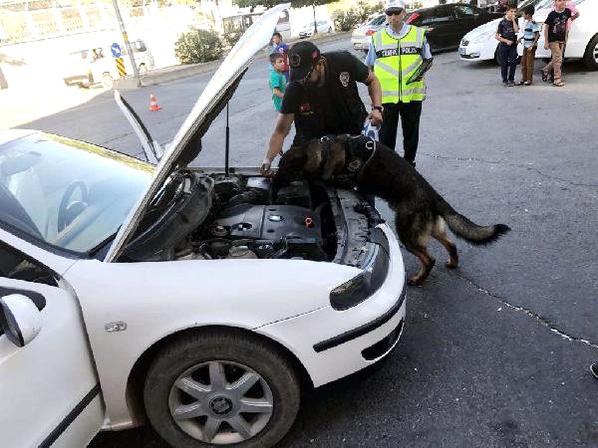 Gaziantep\'te, Narkotik Uygulaması Sürüyor