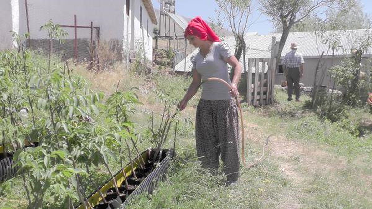 Genç Çiftçi\' Projesi Geçim Kaynağı Oldu