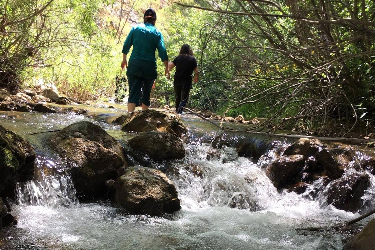 Gümüşhaneli Dağcılardan Kelkit Kanyonunda Zorlu Yürüyüş