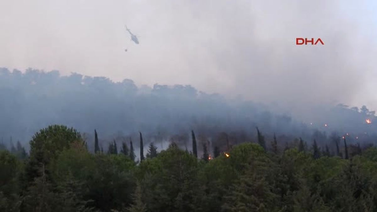 İzmir\'de Makilik Alanda Yangın