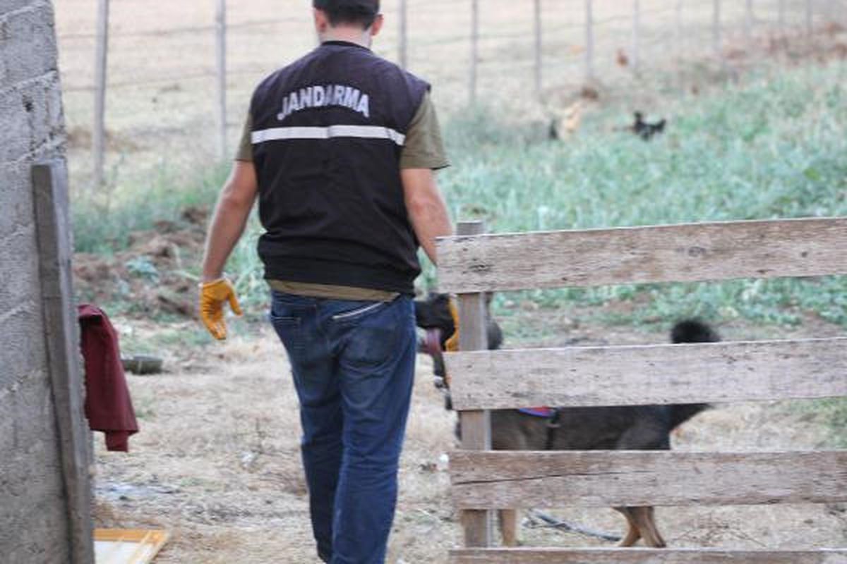 Jandarma, Kaçmaya Çalışan Şüpheliyi Bacağından Vurdu