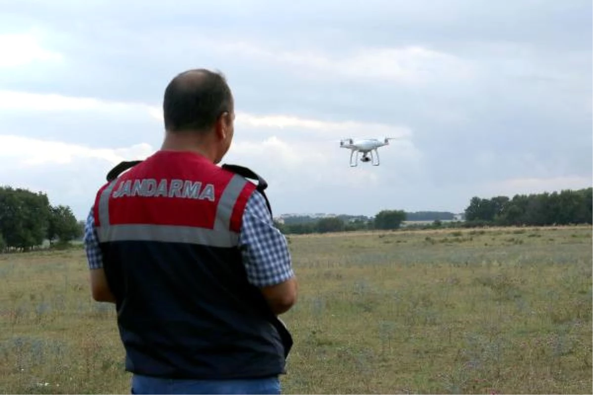 Jandarmadan Drone ile Havadan Kenevir Operasyonu