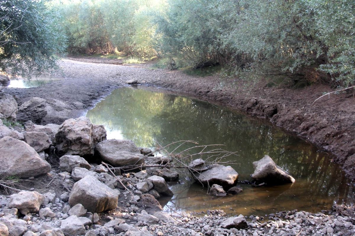 Kızılırmak\'ın Bir Kolu Kurudu