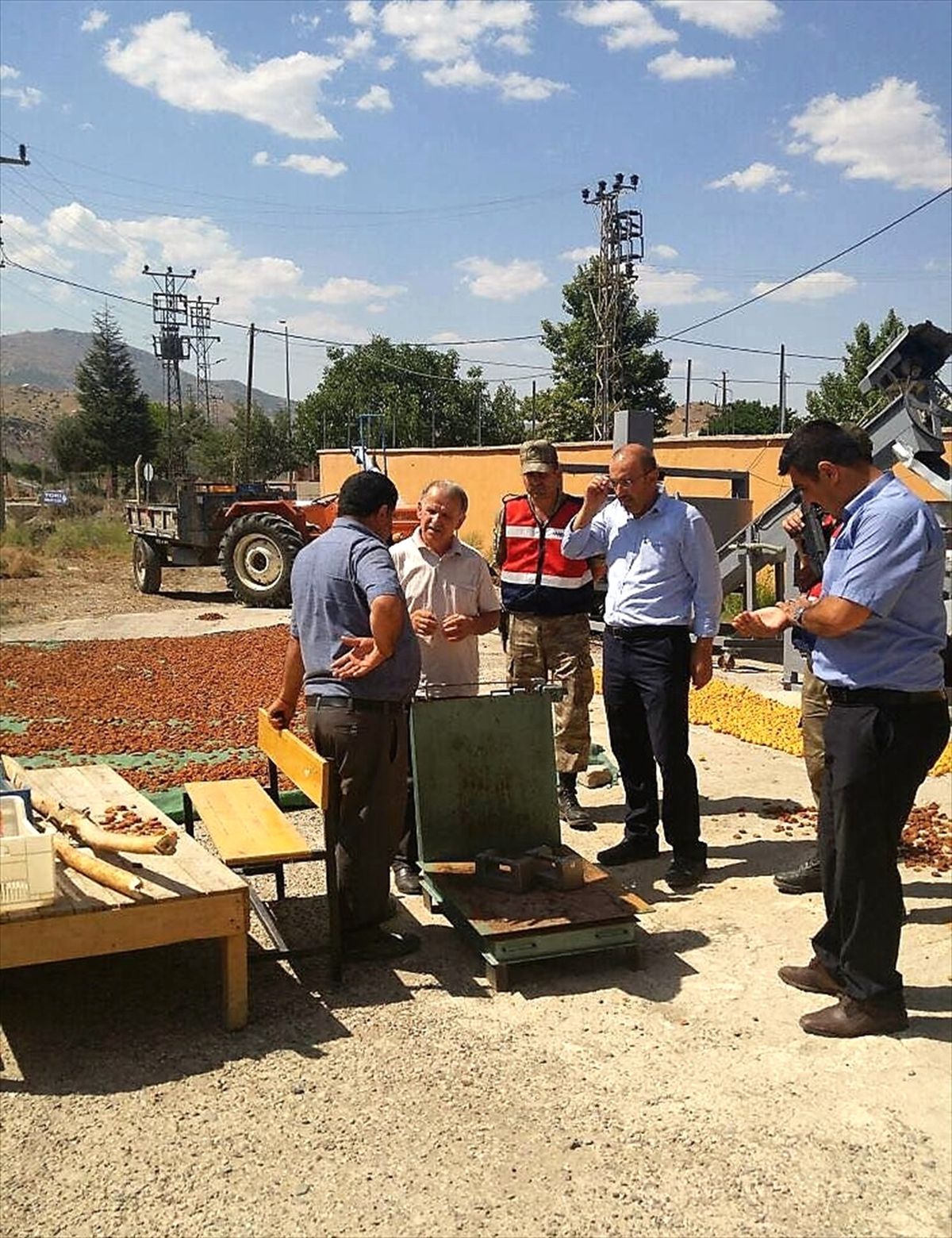 Malatya\'da "Kayısı Eylem Planı" Çalışmaları