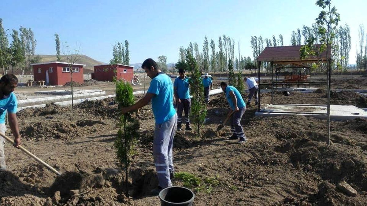 Sungurlu\'da Mesire Alanları Ağaçlandırılıyor