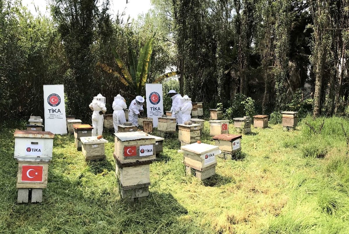 Tika\'dan Meksikalı Bal Üreticilerine Destek