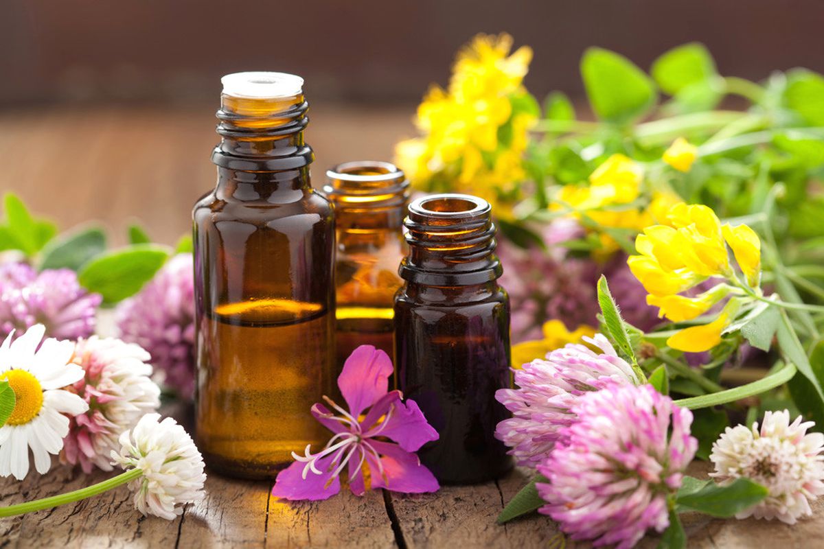 Türkiye\'nin İlk ve Tek Online Tıbbi ve Aromatik Bitkiler Kütüphanesi Açıldı