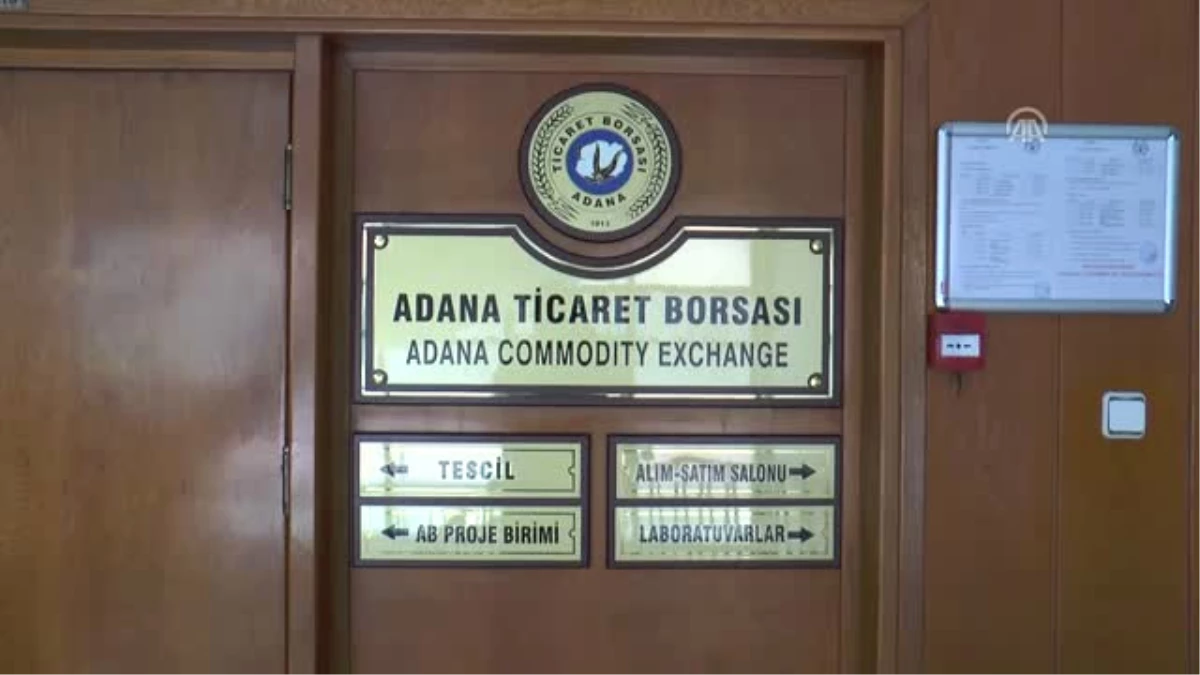 Adana\'da Yılın İlk Kütlü Pamuğunun Satışı Yapıldı