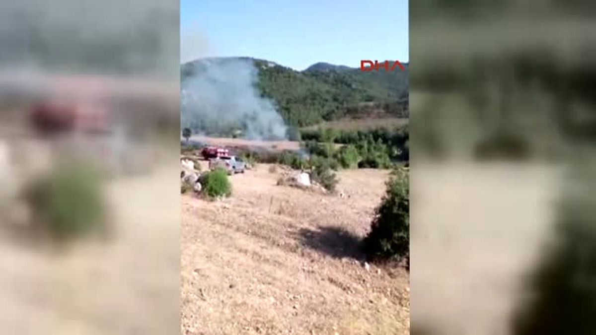 Anız Yangını 4 Hektar Ormanı Yaktı