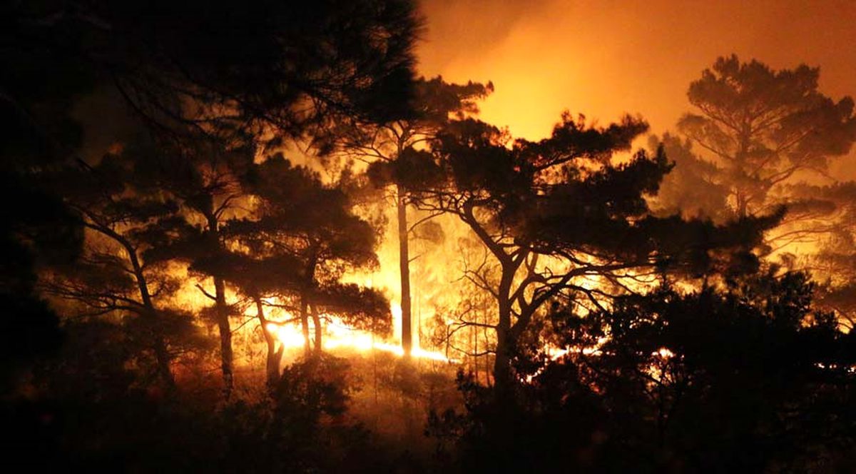 Kazdağları'nda 4 Ayrı Noktada Orman Yangını! Kundaklama Şüphesi Var